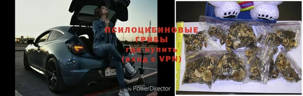 марки lsd Богданович