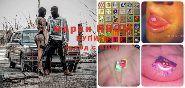 дмт Богородицк