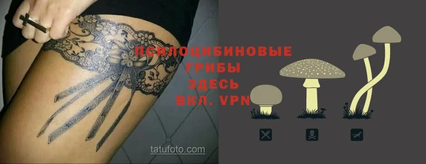 марки lsd Богданович
