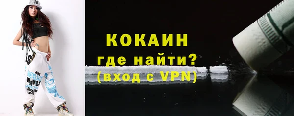 дмт Богородицк