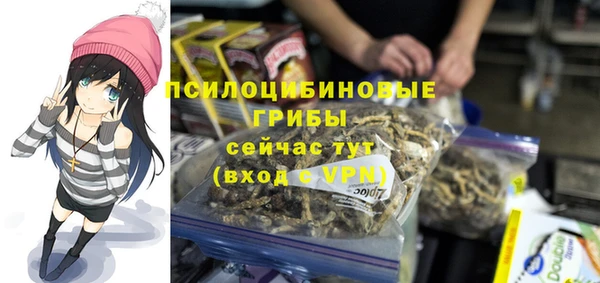 марки lsd Богданович
