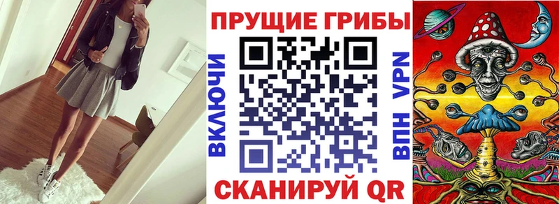 Псилоцибиновые грибы Cubensis  гидра онион  Орск 